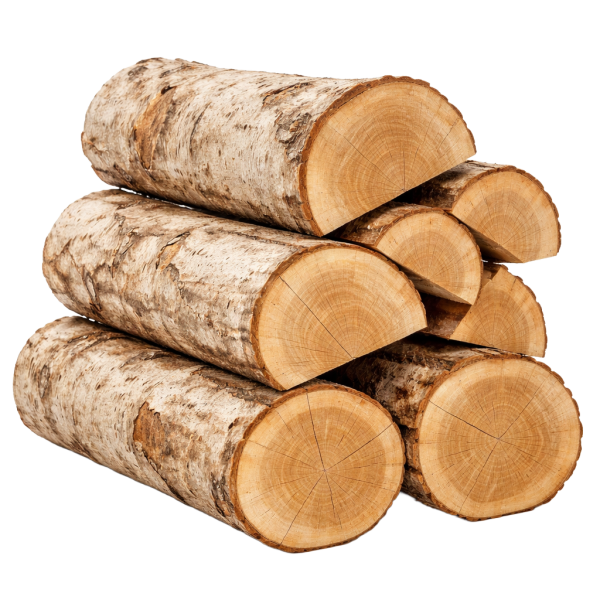 Beukenhout haardhout kopen